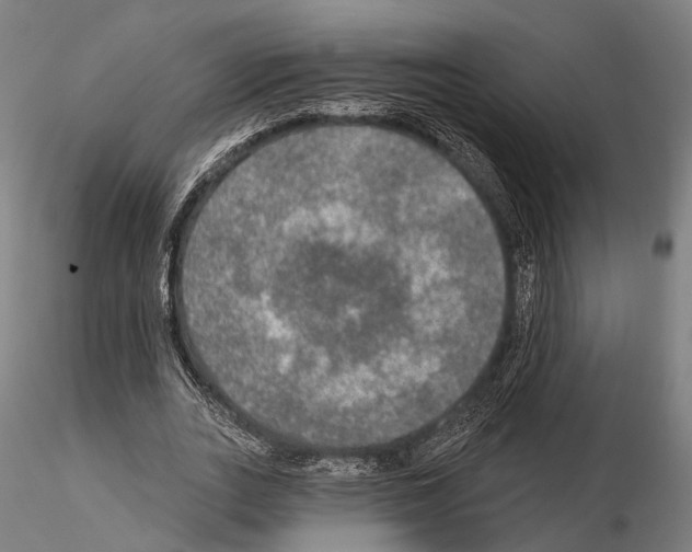 X0000114650727200912011112