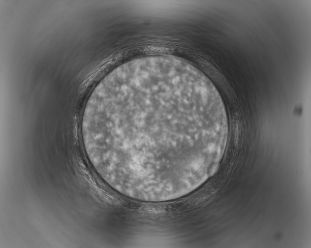 X0000114650729200912011112