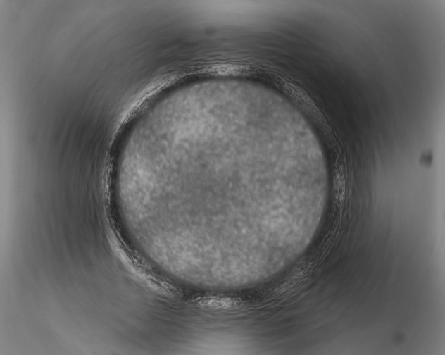 X0000114650730200912011112