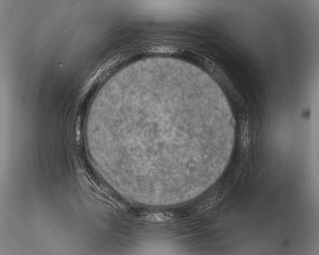 X0000114650731200912011112