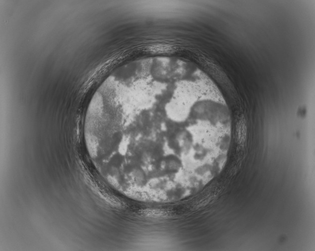 X0000114650733200912011112