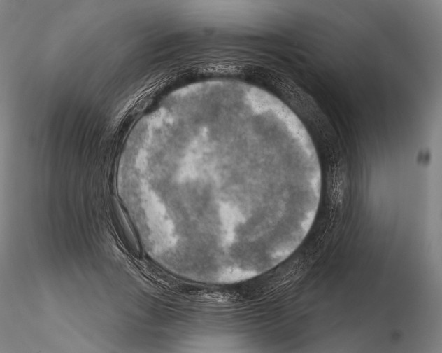 X0000114650735200912011112