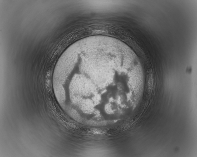 X0000114650737200912011112