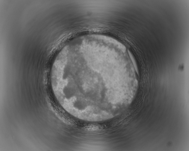 X0000114650738200912011112