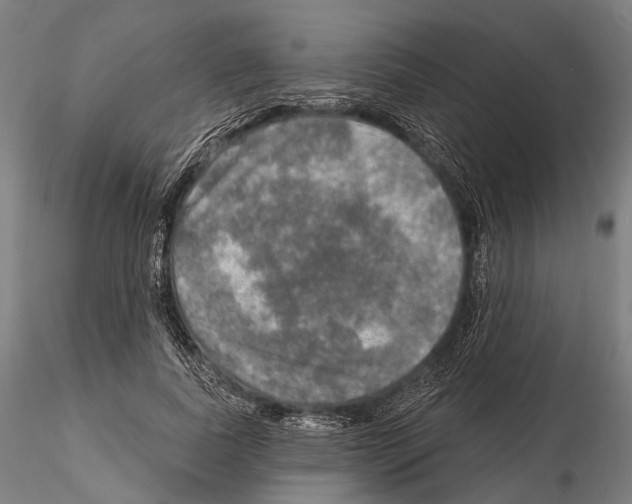 X0000114650739200912011112