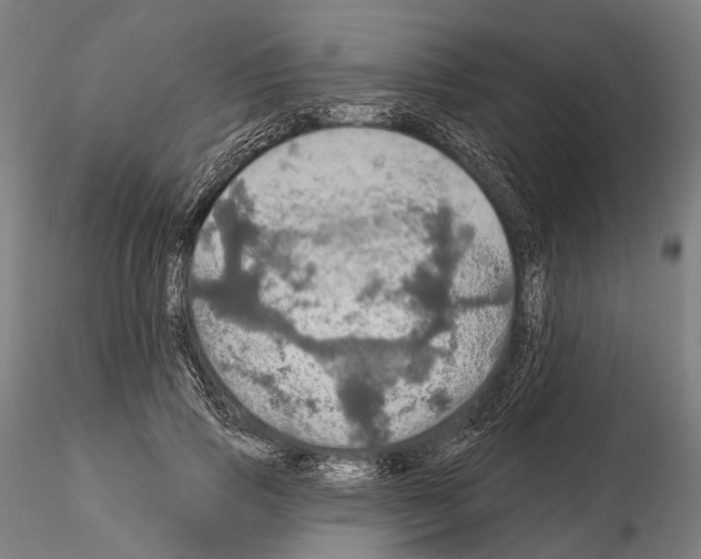 X0000114650741200912011112