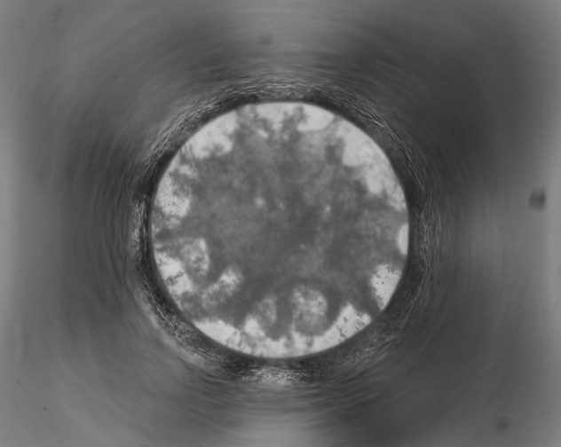 X0000114650742200912011112