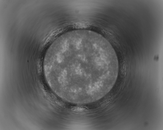 X0000114650743200912011112