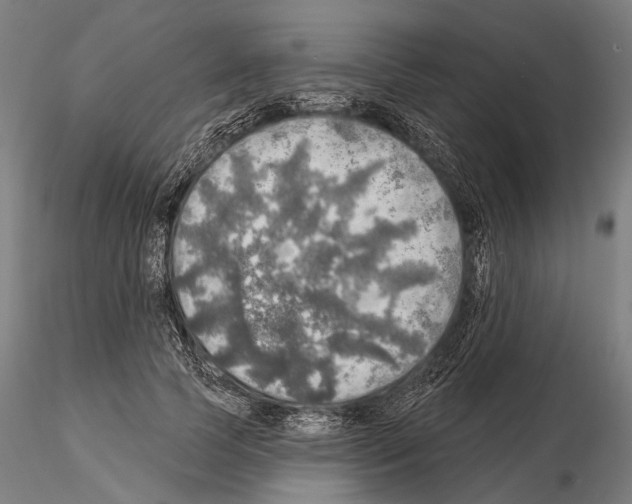 X0000114650745200912011112