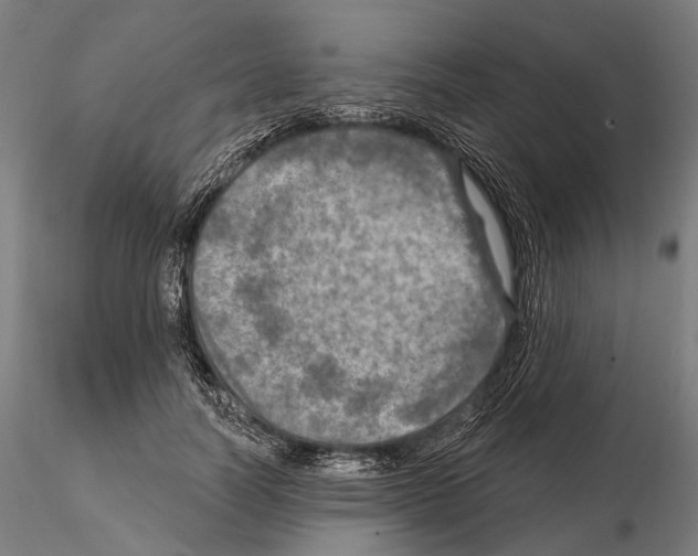 X0000114650746200912011112