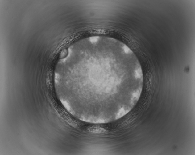 X0000114650747200912011112