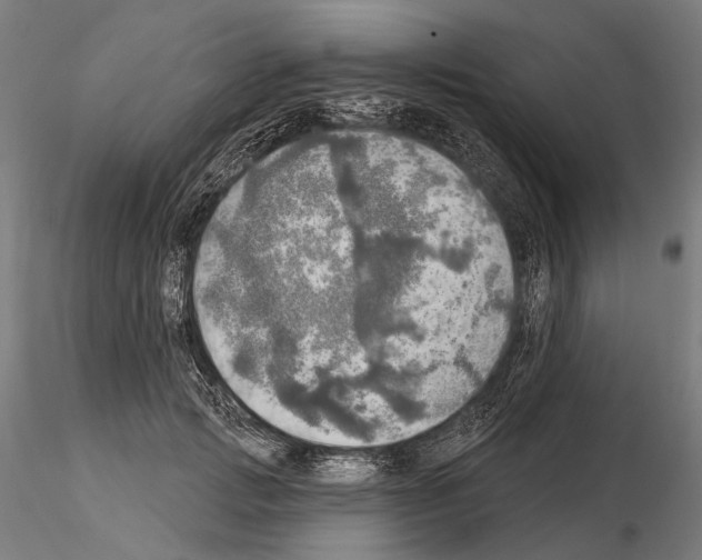 X0000114650749200912011112