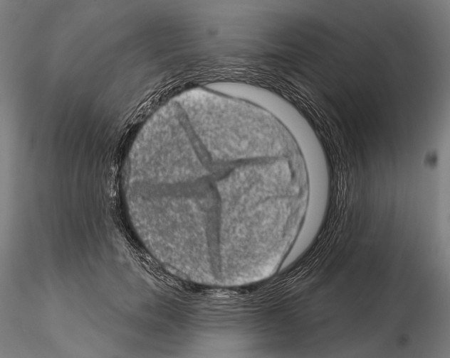 X0000114650750200912011112