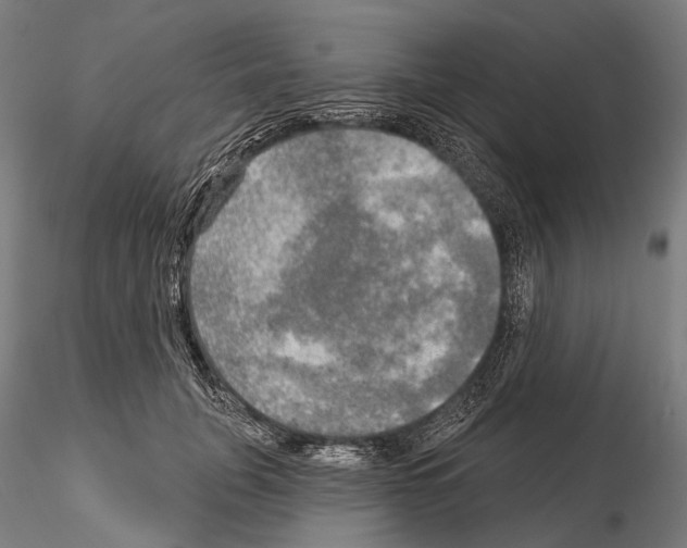 X0000114650751200912011112