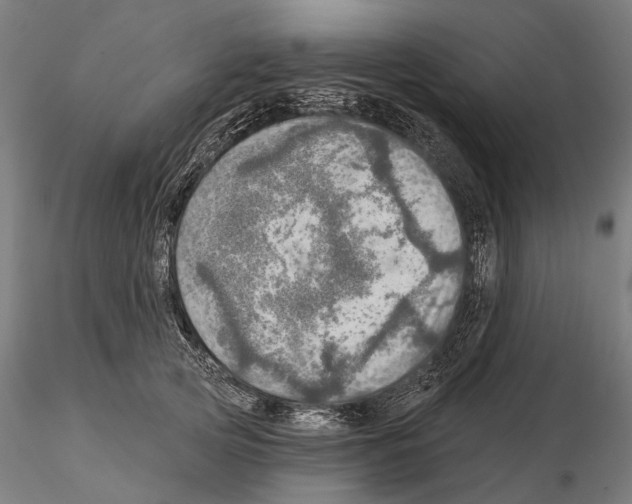 X0000114650753200912011112