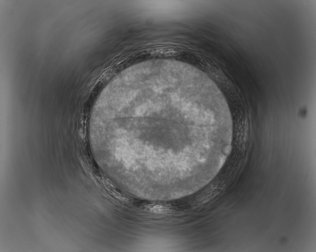 X0000114650755200912011112