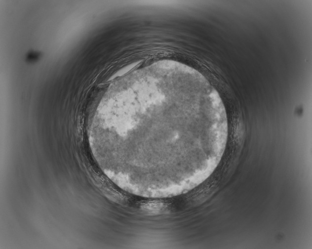 X0000114650759200912011112