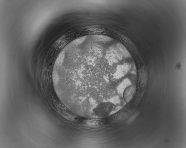 X0000114650761200912011112