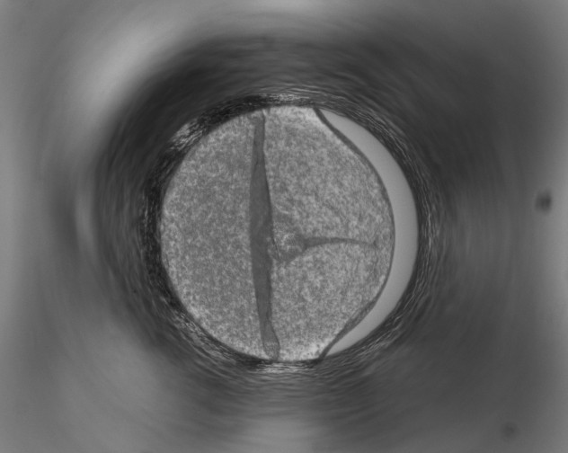 X0000114650762200912011112