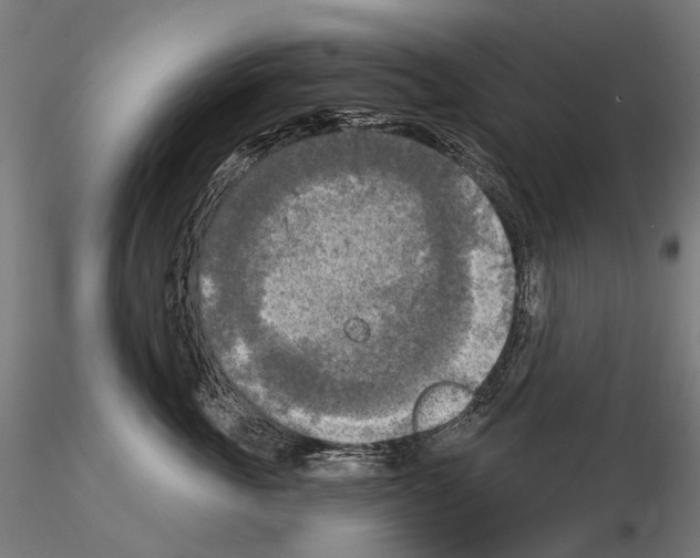 X0000114650763200912011112