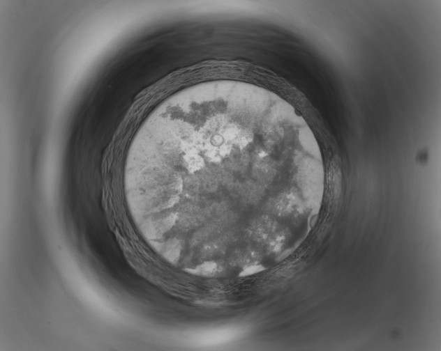 X0000114650765200912011112