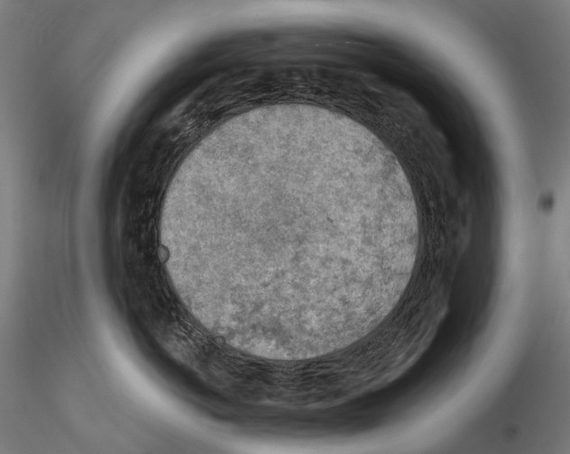 X0000114650766200912011112