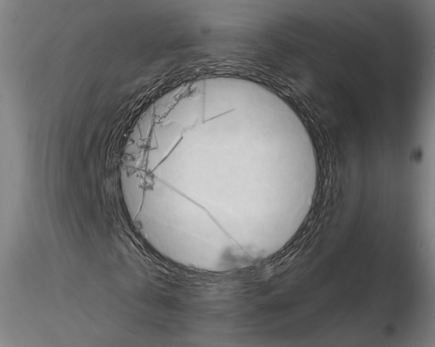 X0000114650769200912011111