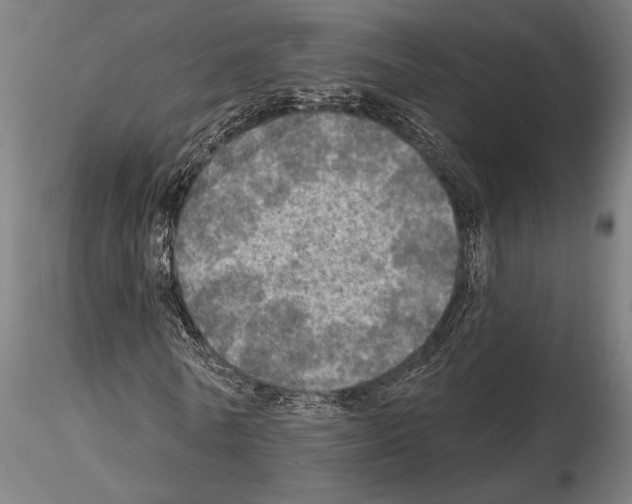 X0000114650770200912011111