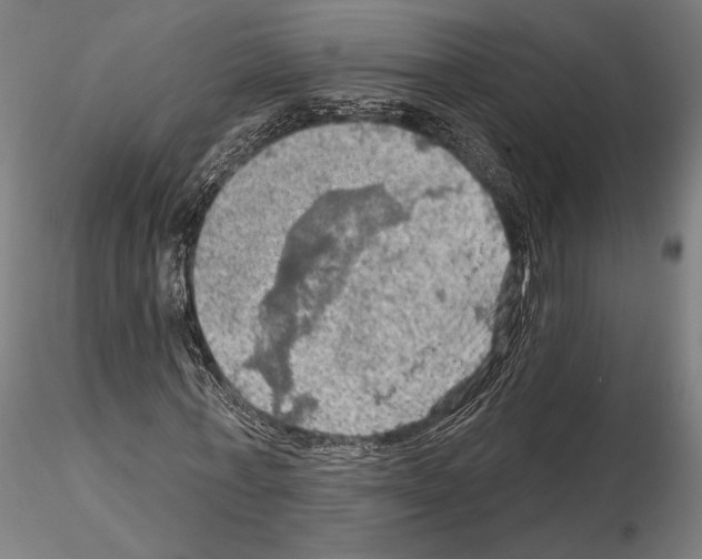 X0000114650771200912011111