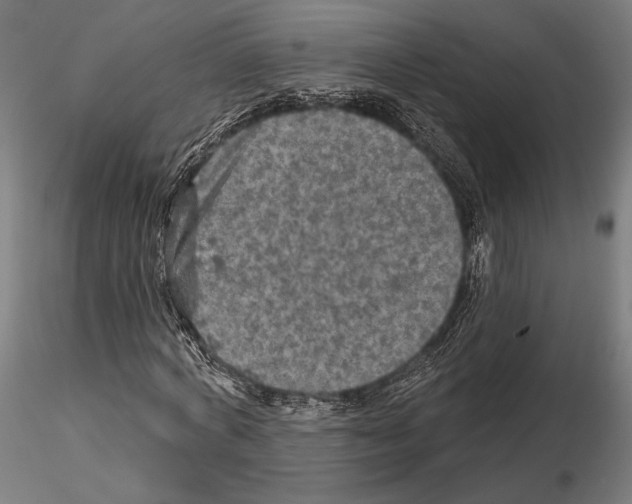 X0000114650772200912011111