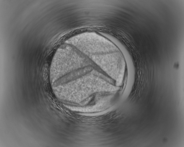 X0000114650773200912011111