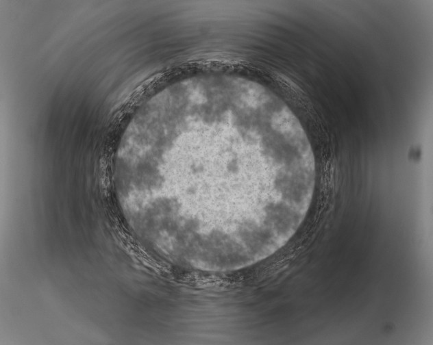 X0000114650774200912011111