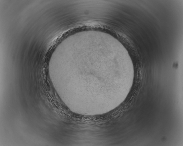 X0000114650776200912011111