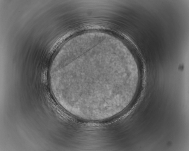 X0000114650777200912011111