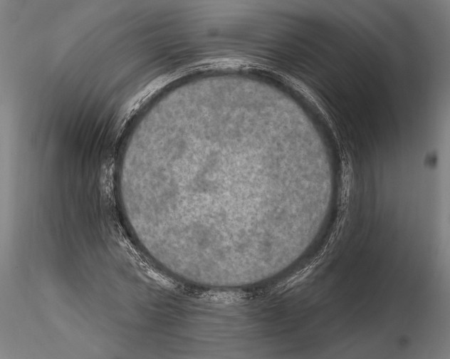 X0000114650778200912011111