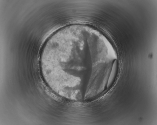 X0000114650779200912011111