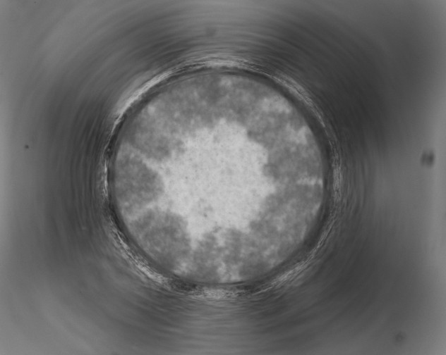 X0000114650782200912011111