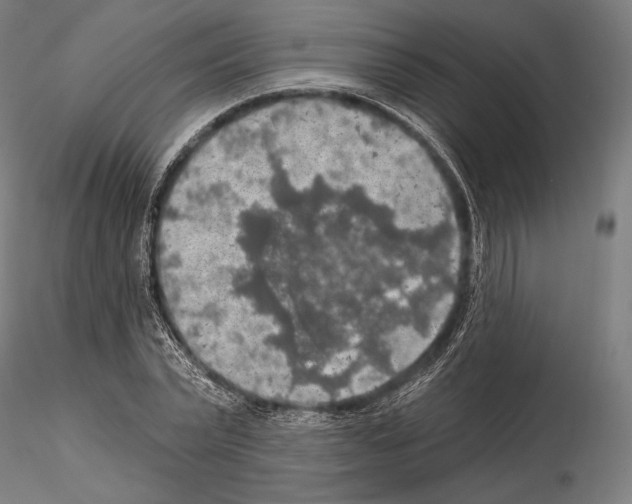 X0000114650783200912011111