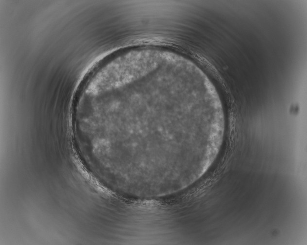 X0000114650784200912011111