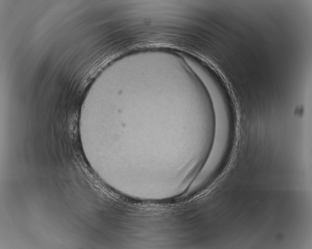 X0000114650785200912011111