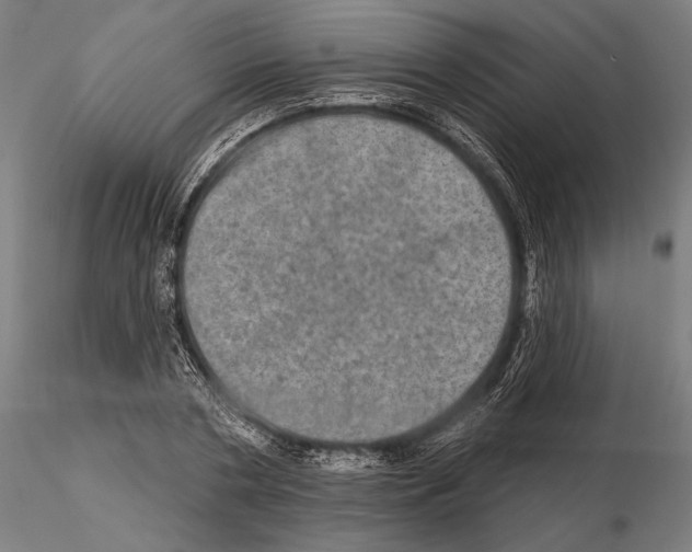 X0000114650786200912011111