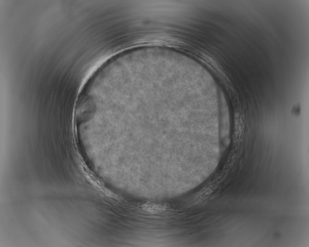 X0000114650788200912011111