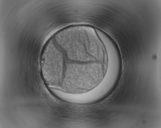 X0000114650789200912011111