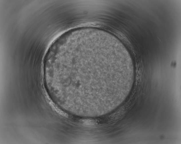 X0000114650792200912011111