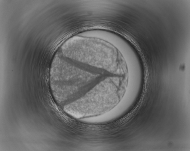 X0000114650793200912011111