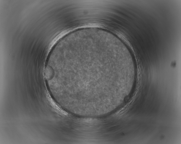 X0000114650797200912011111