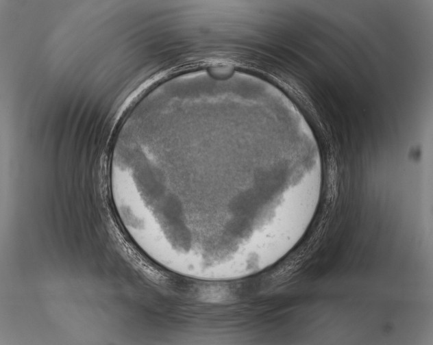 X0000114650798200912011111