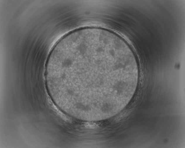 X0000114650799200912011111