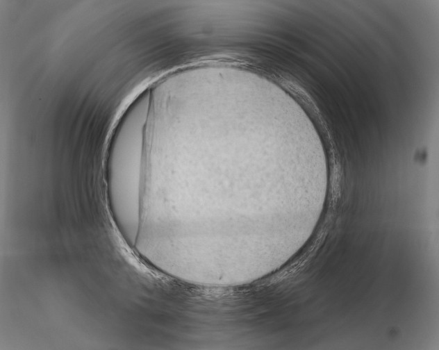 X0000114650800200912011111