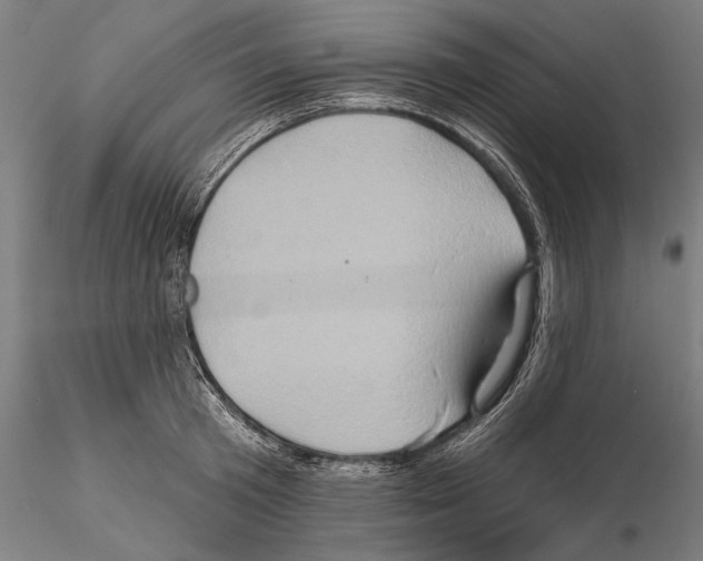 X0000114650801200912011111